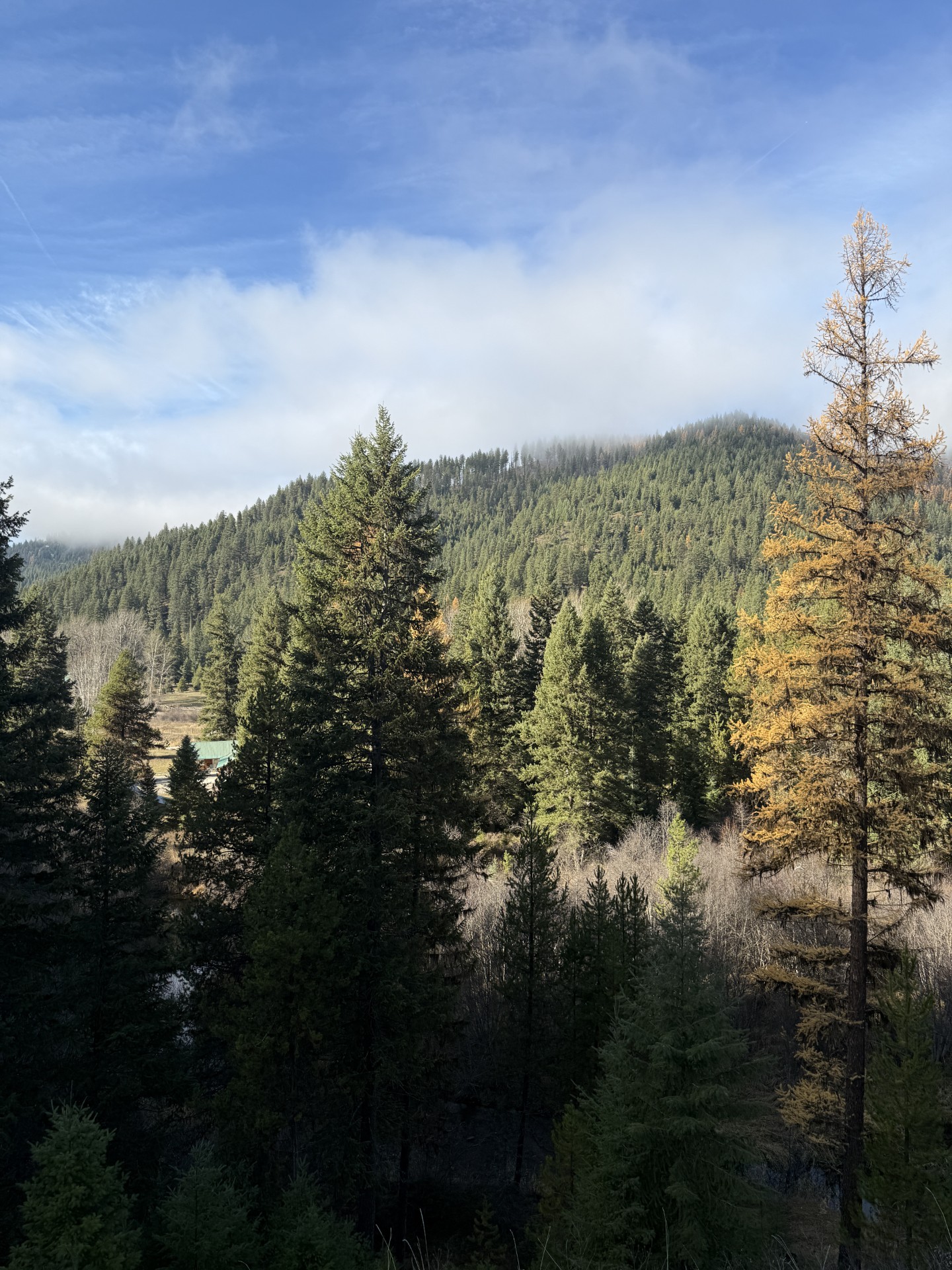 Pacific Northwest